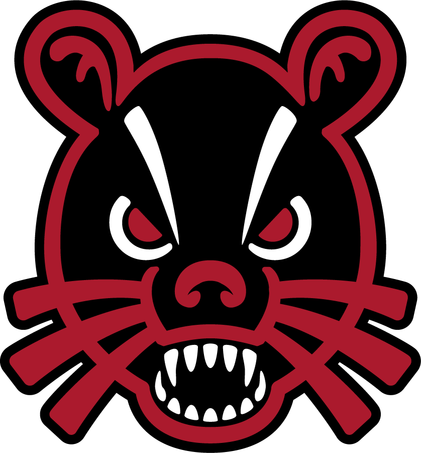 Cincinnati Bearcats 2018-Pres Secondary Logo diy iron on heat transfer